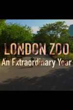 Watch London Zoo: An Extraordinary Year Megashare9