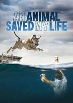 Watch An Animal Saved My Life Megashare9