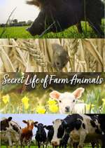 Watch Secret Life of Farm Animals Megashare9