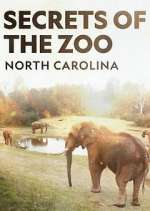 Watch Secrets of the Zoo: North Carolina Megashare9