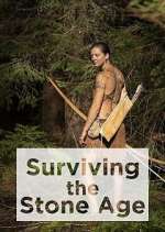 Watch Surviving the Stone Age Megashare9