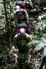 Watch Walking The Amazon Megashare9