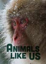 Watch Animals Like Us Megashare9