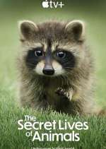 Watch The Secret Lives of Animals Megashare9