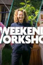 Watch The Weekend Workshop Megashare9