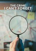 Watch The Crime I Can't Forget Megashare9