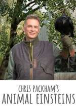 Watch Chris Packham's Animal Einsteins Megashare9