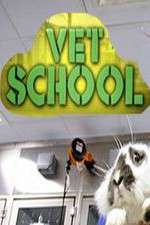 Watch Vet School Megashare9