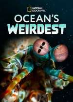Watch Ocean's Weirdest Megashare9