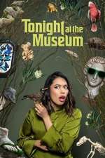 Tonight At The Museum megashare9