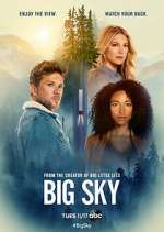 Watch Big Sky Megashare9