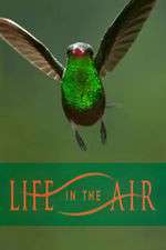 Watch Life in the Air Megashare9