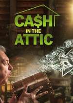 Watch Cash in the Attic Megashare9