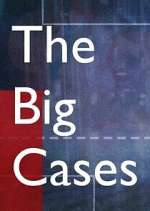 Watch The Big Cases Megashare9