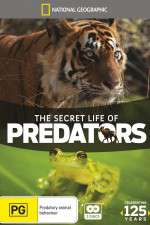 Watch Secret Life of Predators Megashare9