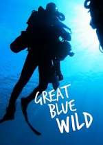 Watch Great Blue Wild Megashare9