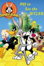 Watch The Looney Tunes Show Megashare9