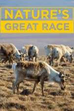 Watch Nature's Great Race Megashare9