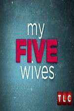 Watch My Five Wives Megashare9