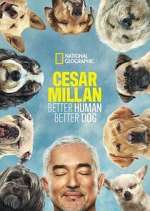 Watch Cesar Millan: Better Human Better Dog Megashare9