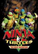 Watch Ninja Turtles: The Next Mutation Megashare9