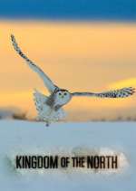 Watch Kingdom of the North Megashare9