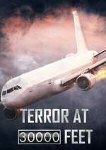 Watch Terror at 30,000 Feet Megashare9