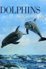 Watch Dolphins: Spy in the Pod Megashare9
