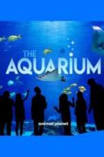 Watch The Aquarium Megashare9