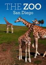 Watch The Zoo: San Diego Megashare9