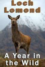Watch Loch Lomond: A Year in the Wild Megashare9