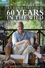 Watch Attenborough 60 Years in the Wild Megashare9