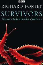 Watch Survivors: Nature's Indestructible Creatures Megashare9