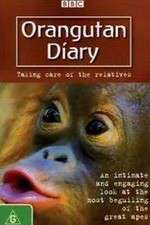 Watch Orangutan Diary Megashare9