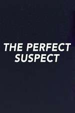 Watch The Perfect Suspect Megashare9