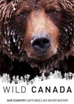 Watch Wild Canada Megashare9