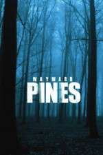 Watch Wayward Pines Megashare9
