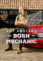 Watch Ant Anstead: Born Mechanic Megashare9