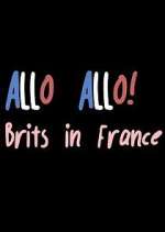 Watch Allo Allo! Brits in France Megashare9
