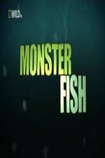 Watch National Geographic Monster Fish Megashare9