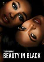 Watch Tyler Perry\'s Beauty in Black Megashare9