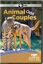 Watch Animal Odd Couples Megashare9