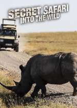 Watch Secret Safari: Into the Wild Megashare9