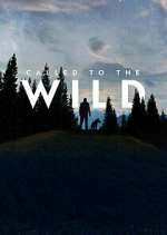 Watch Called to the Wild Megashare9