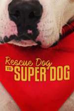 Watch Rescue Dog to Super Dog (US) Megashare9