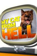 Watch My Cat from Hell Megashare9