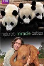Watch Natures Miracle Babies Megashare9