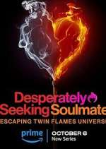Watch Desperately Seeking Soulmate: Escaping Twin Flames Universe Megashare9