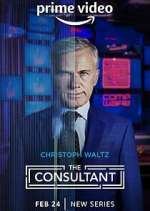 Watch The Consultant Megashare9