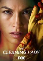 Watch The Cleaning Lady Megashare9